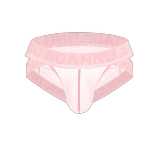 Sheer Mesh Brief