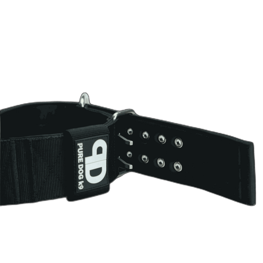 Pure Dog K9 Sport Collar Black