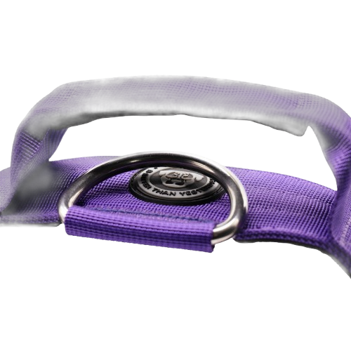 5cm Tactical Collar Purple