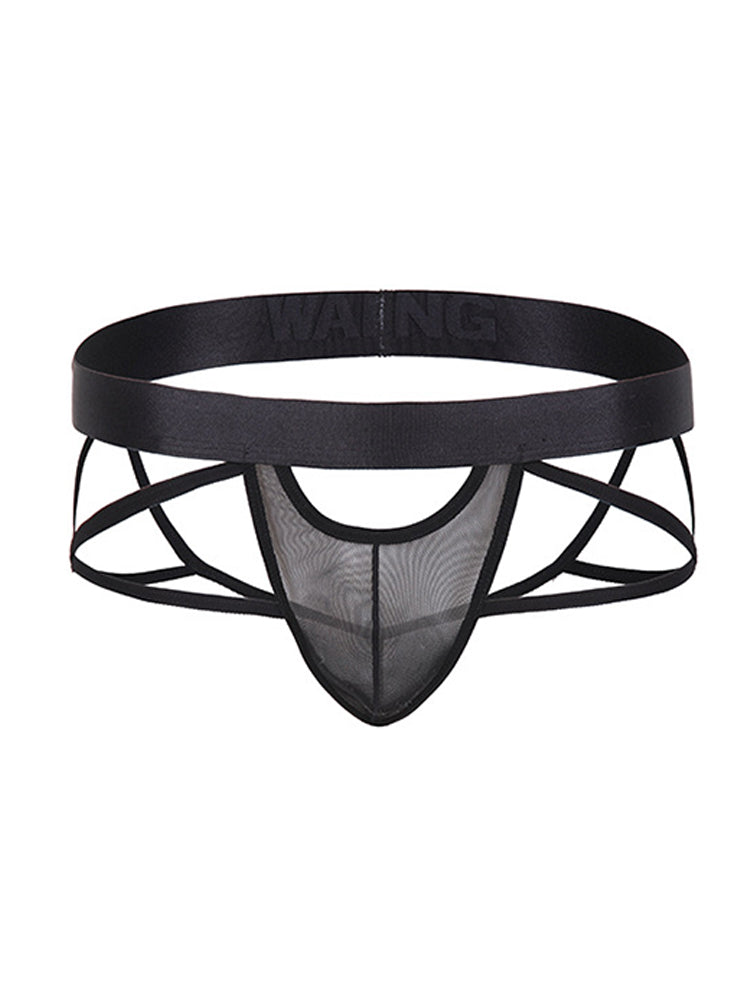Men's Sexy Low Rise Transparent Underwear