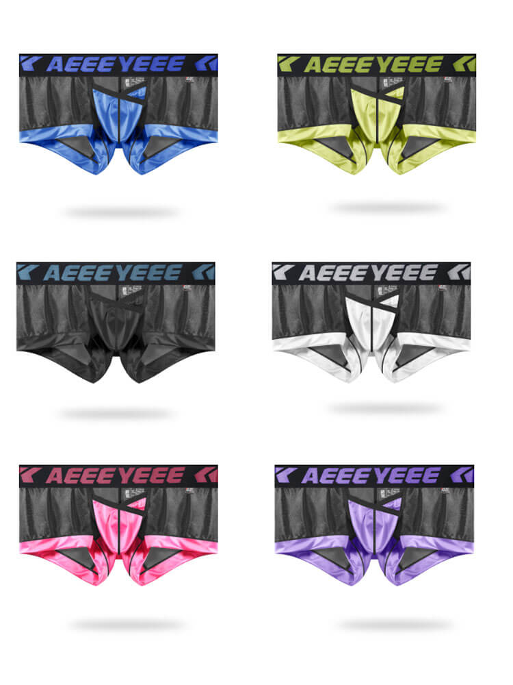 Men's Sexy Breathable Mesh Paneling Boxer Briefs