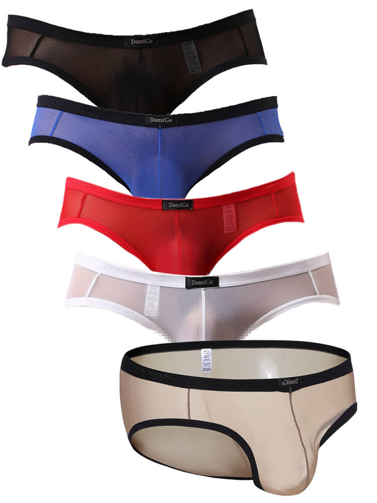 Men's Transparent Mesh Low Rise Briefs