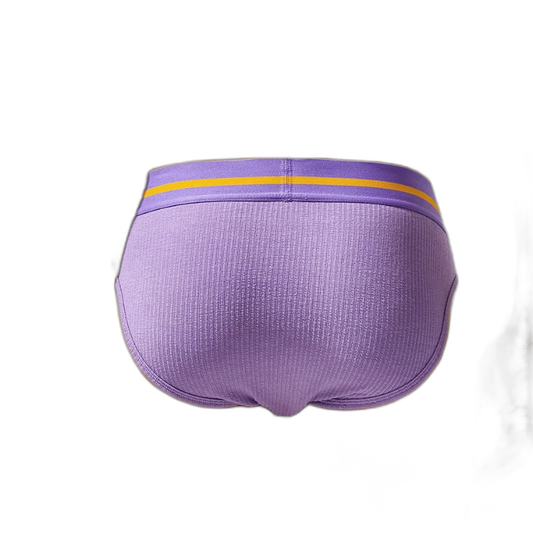 Tauwell Retro Era Briefs