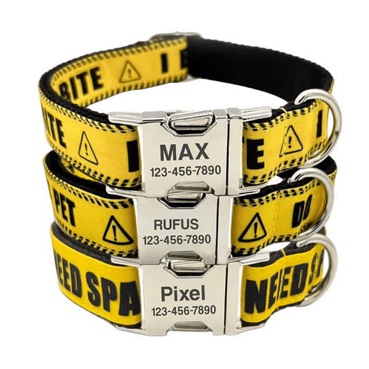 Custom I Bite Collar