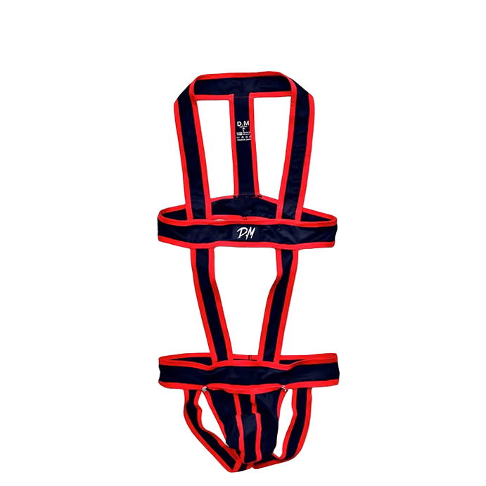 Dog & Master One Piece Red