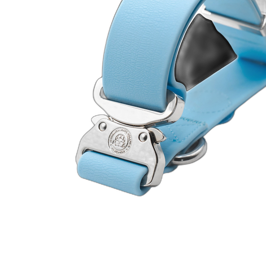 4cm Tactical Collar Blue