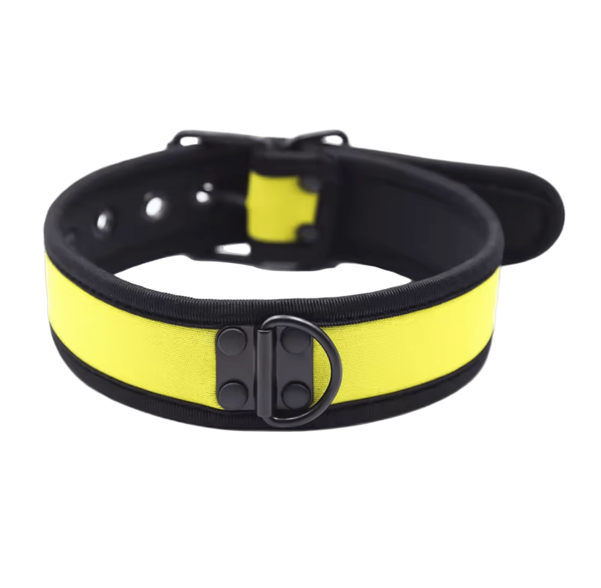 K9 Collar Yellow