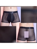 Men's Sexy Sheer Vertical-Striped Boxer Briefs