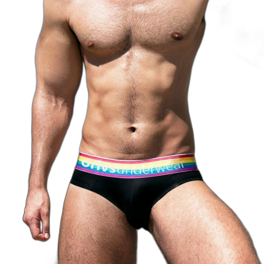 ORLVS Pride Briefs (4 Pack)