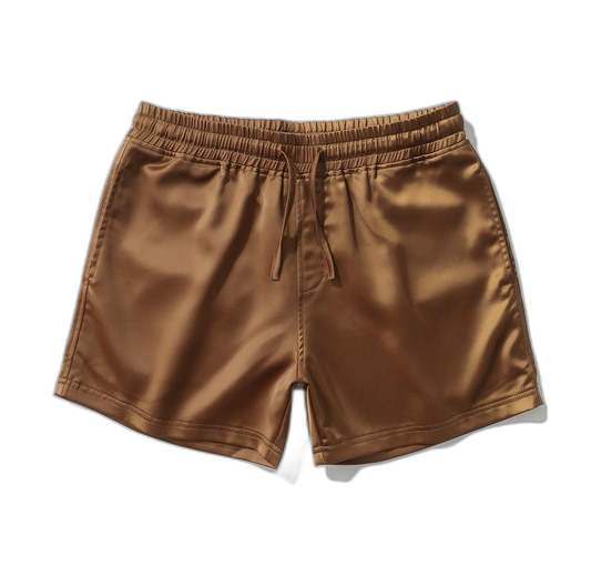 Satin Silk Shorts