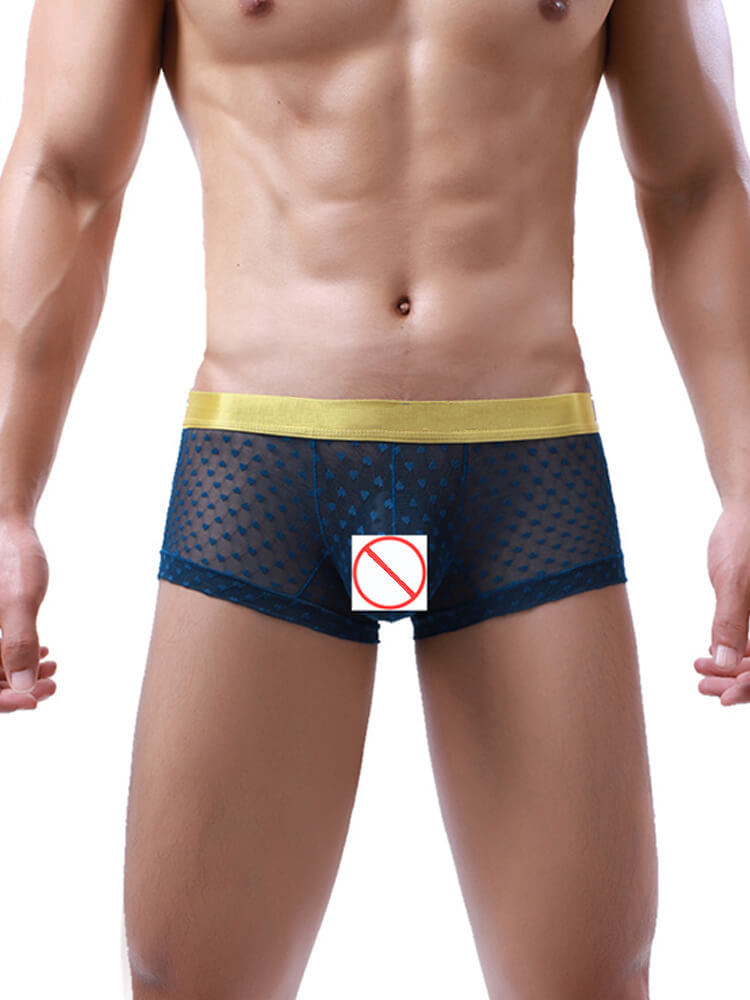 Men's Translucent Mesh Spotted Trunks