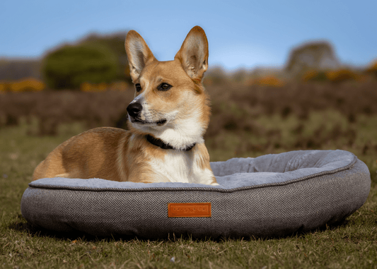 THE BALMORAL | LUXURY DONUT BED