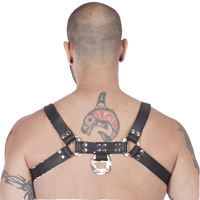 Titus H-Front Leather Chest Harness | Black