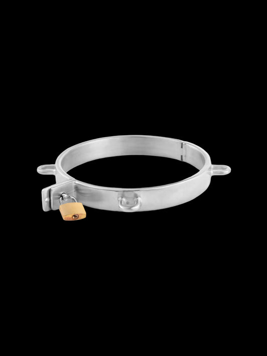 Stainless Steel Collar, 4 Attachment Rings, with Padlock