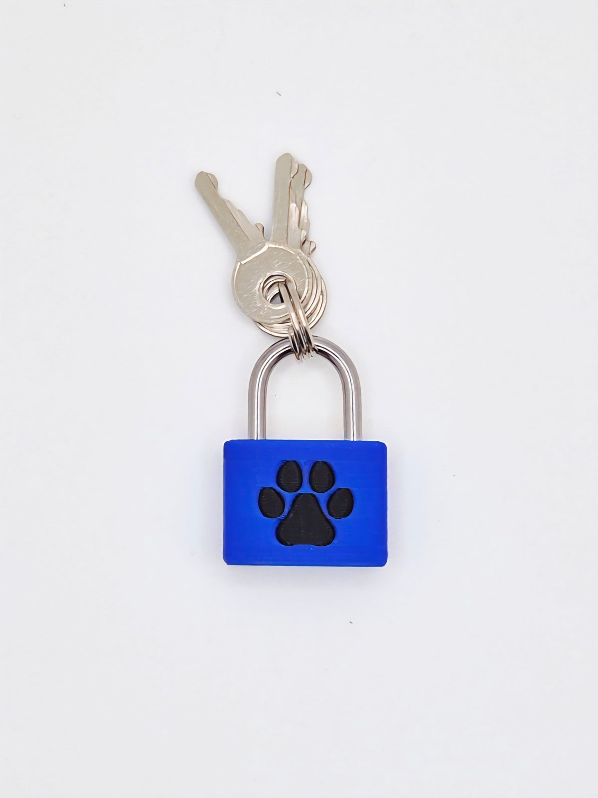 Small Padlock & Cover – Custom Kink Collar Lock, Keyed Alike Options, Glow & Pride Styles