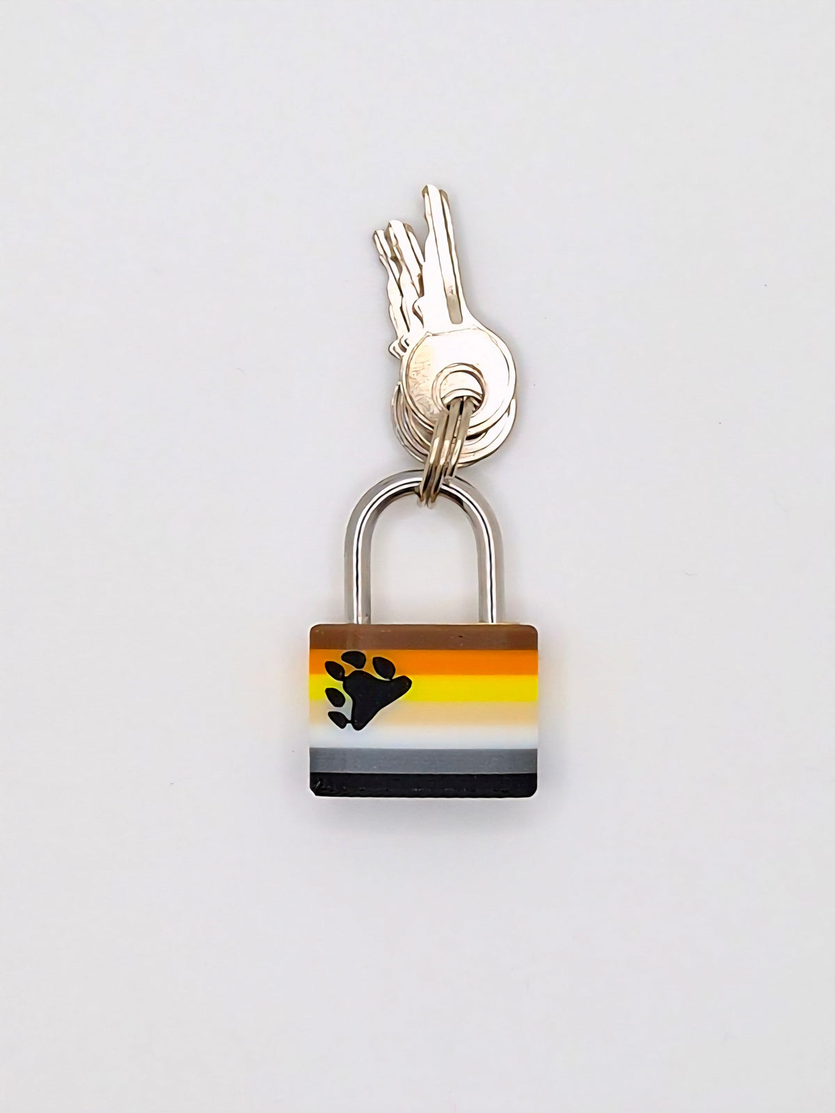 Small Padlock & Cover – Custom Kink Collar Lock, Keyed Alike Options, Glow & Pride Styles
