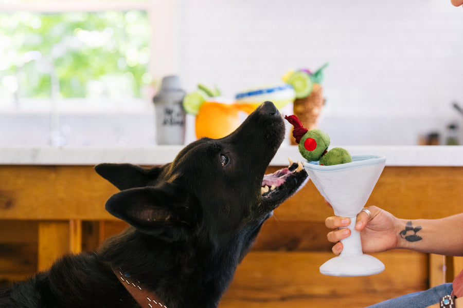 Barktender - Pawtini
