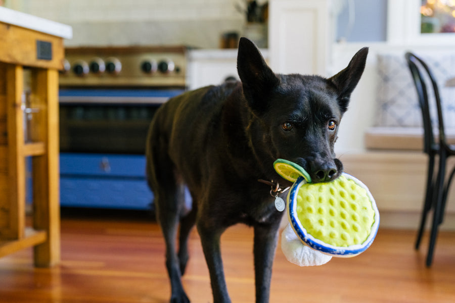 Barktender - Pup-arita