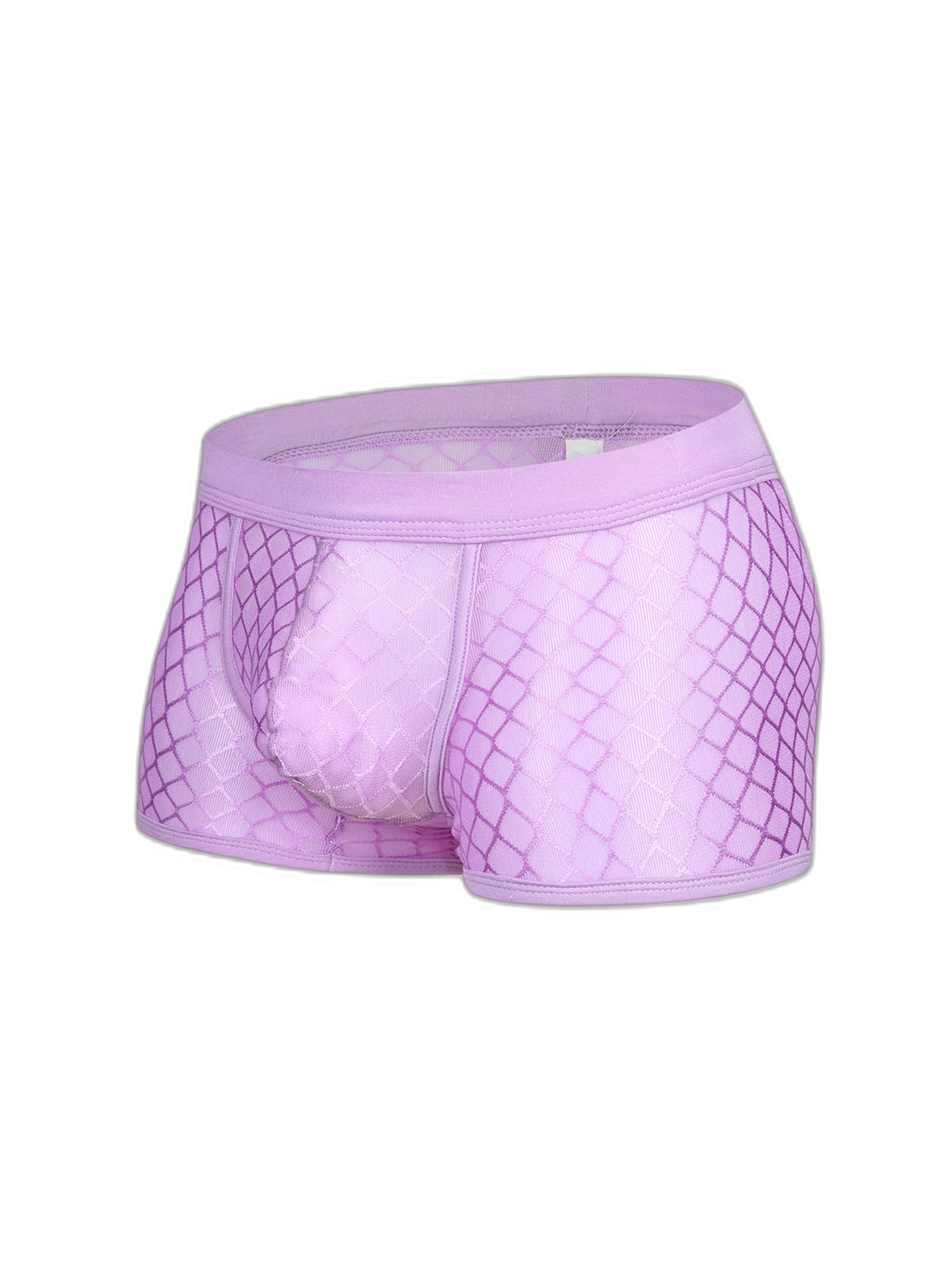 2 Pack Men's Sexy Transparent Mesh Trunks