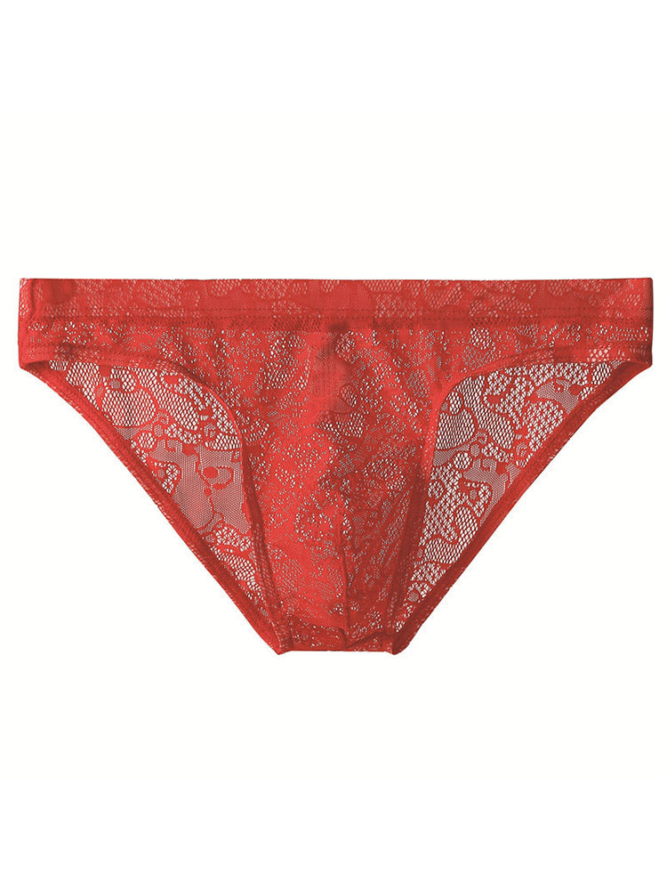 Lace Sheer Briefs