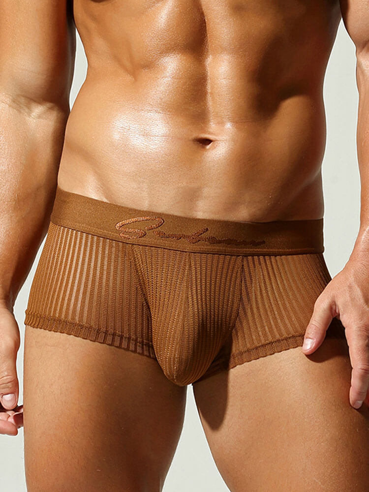 Men's Sexy See-Through Low-Rise Boxer Briefs