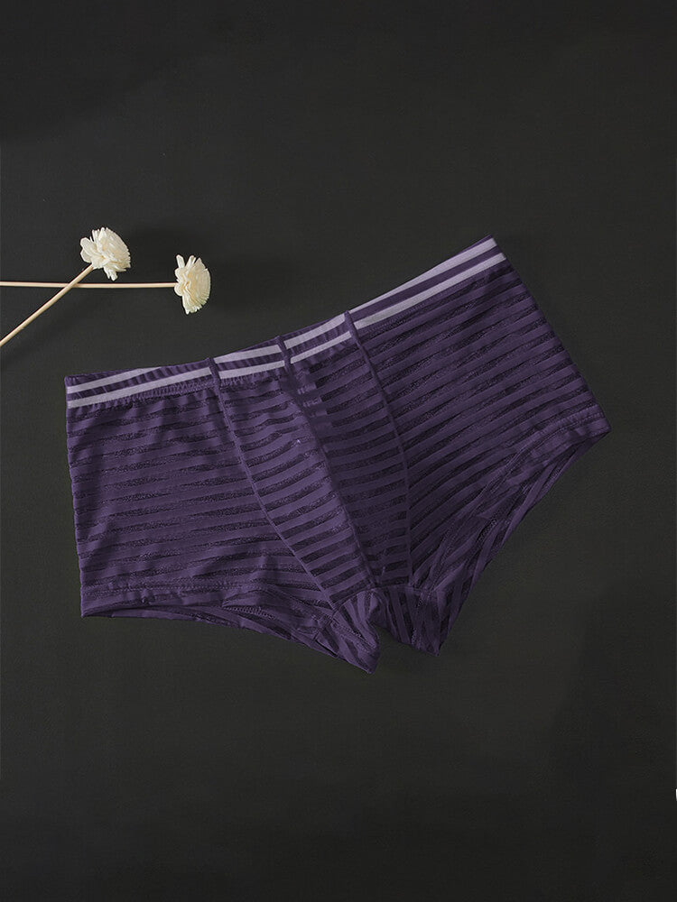 Men's Sexy Mesh Transparent Striped Boxer Briefs