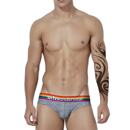 ORLVS Pride Briefs (4 Pack)