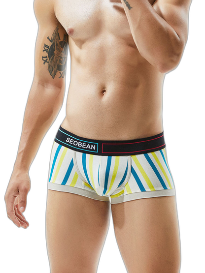 2 Pack Men's Colorful Striped U Convex Pouch Trunks