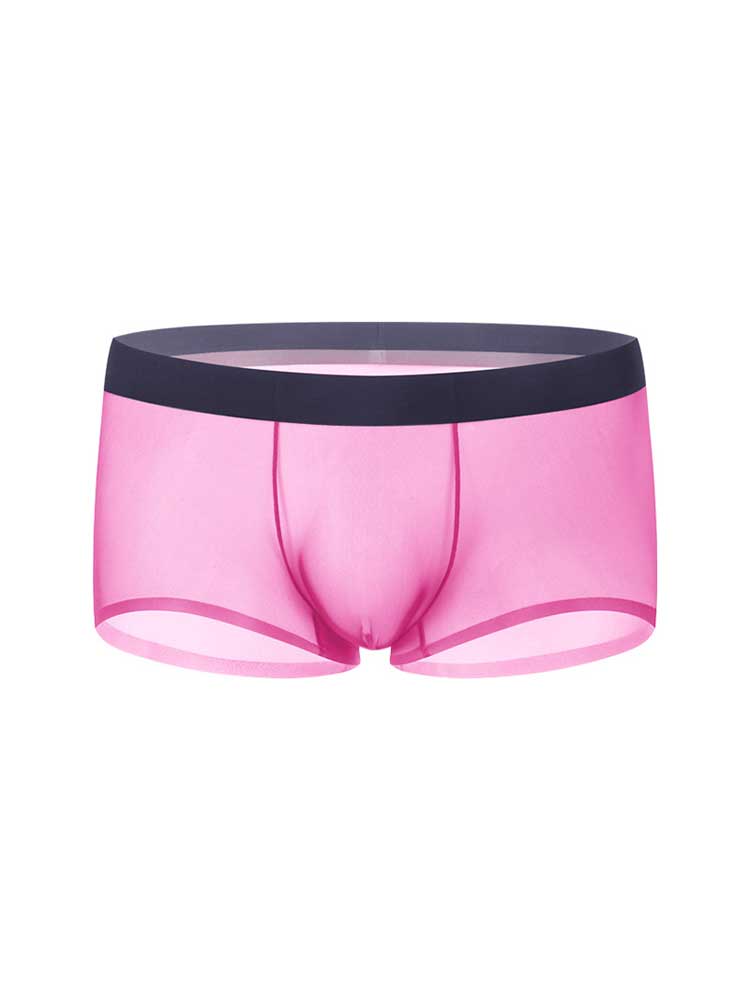 Men's Seamless Low-Rise Sexy Sheer Boxer Briefs
