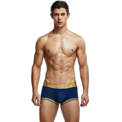 Seobean Golden Boxers