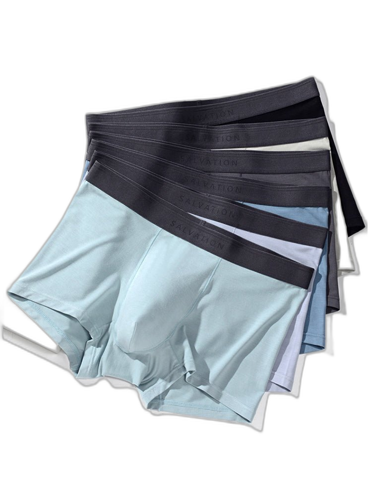2 Pack Men's Anti-Bacterial Modal Trunks