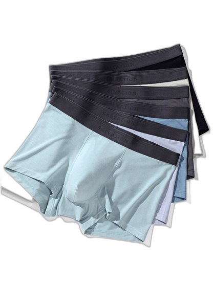 2 Pack Men's Anti-Bacterial Modal Trunks