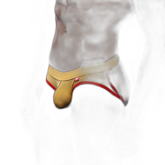 Erotic Mesh Jockstrap