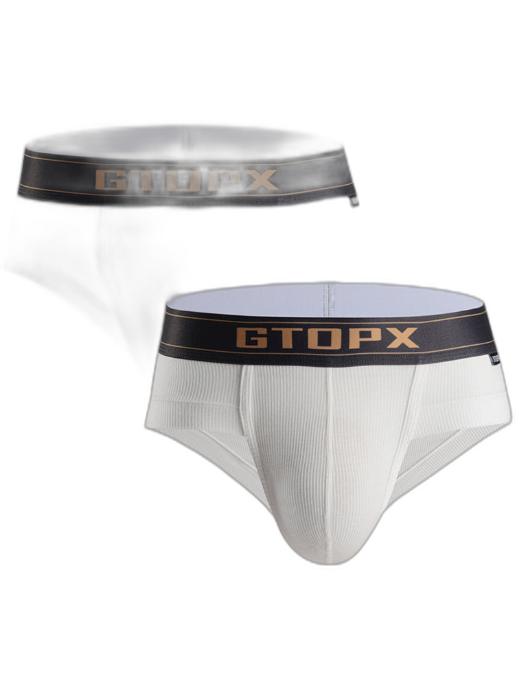2 Pack Men's Big Support Pouch Modal Briefs