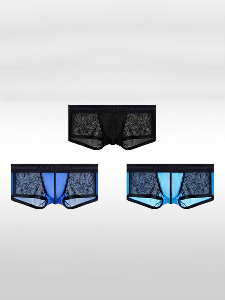 Men's Ice Silk Lace Sexy Sheer Ultra-Thin Trunks