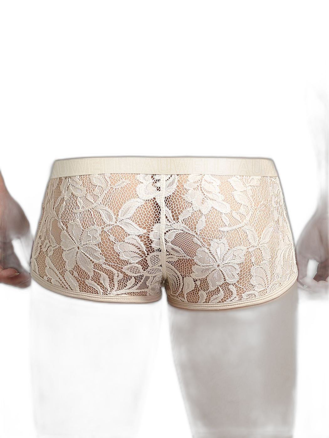 Men's Sexy Lace Semi-Sheer Trunks