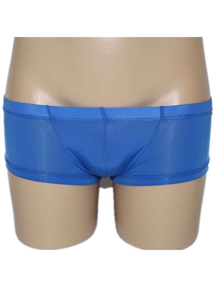Men's Low Rise Translucent Sexy Boxer Briefs