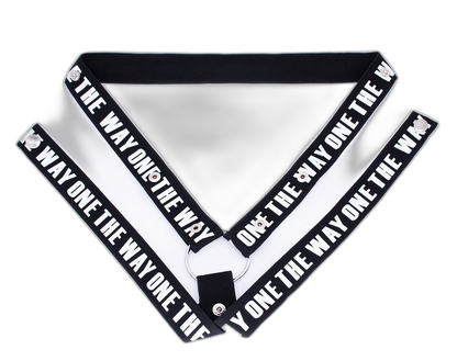 Chastity Cage Tightening Belt