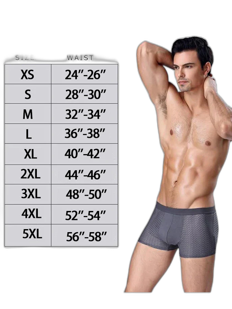4 Pack Mesh Breathable Ice Silk Underwear Boxer