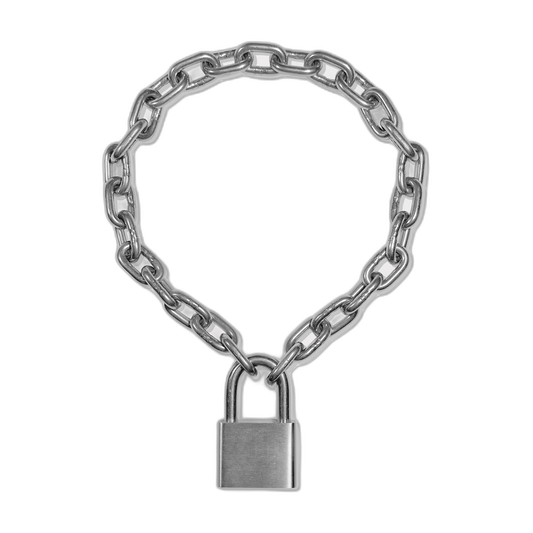Heavy Stainless Steel Chain Collar