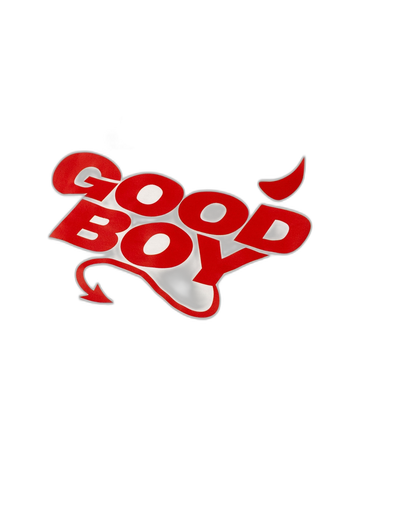 Good Boy Devil Ringer T-Shirt