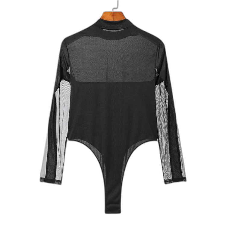Turtleneck Long Sleeve Mesh Bodysuit