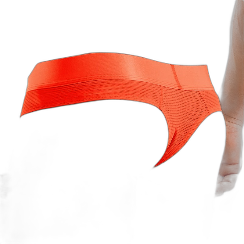 Men’s Sexy Fluorescent Mesh Bikini