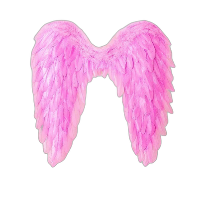 Feather Angel Wings