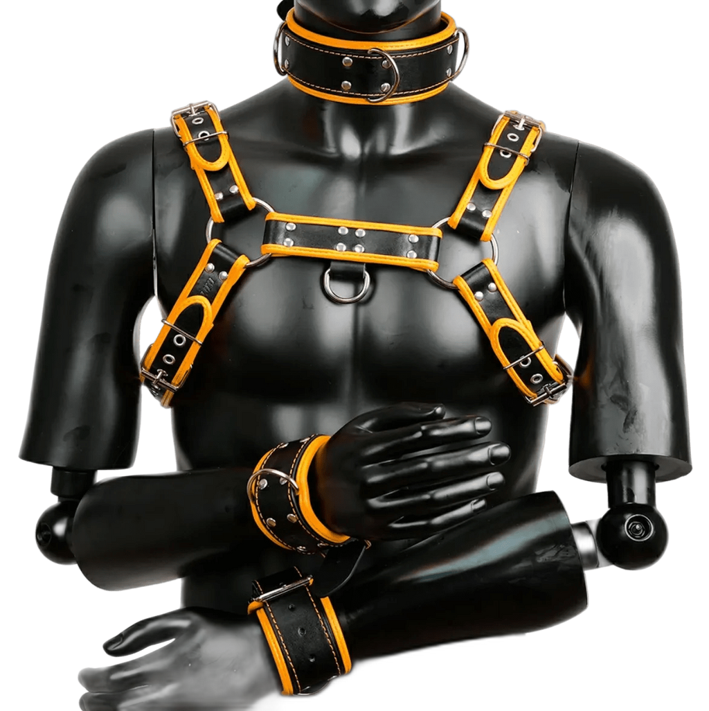 Harness, Cuff, Collar Bundle Orange