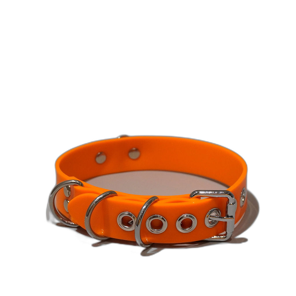 Multi-D Buckle Style Silicone Collar