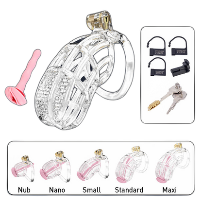 Sentinel - Cock Cage with 5 Sizes & Colors