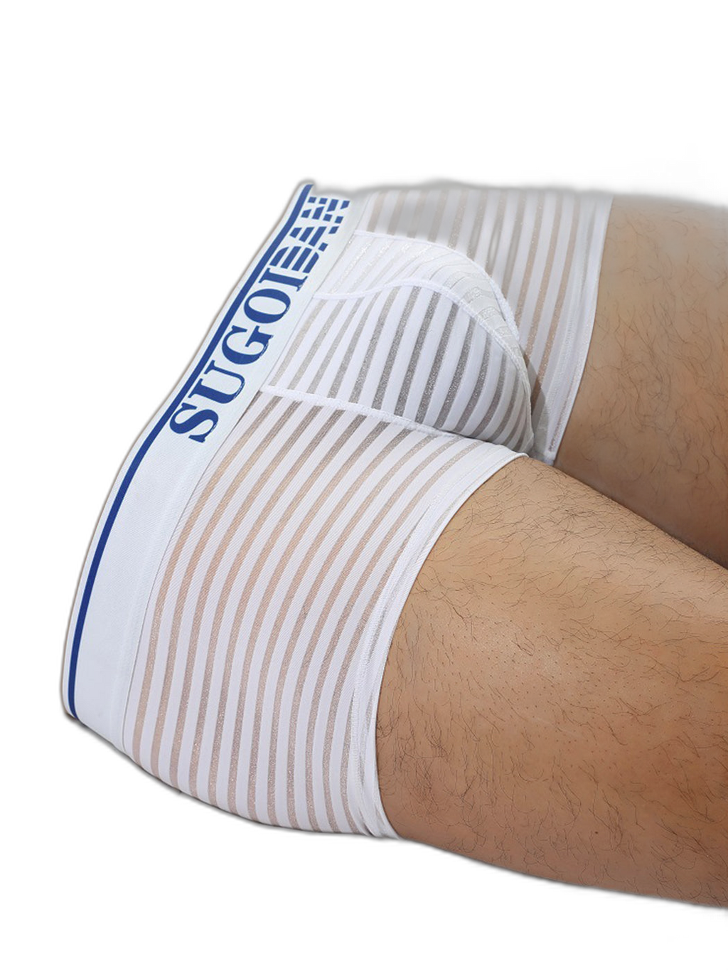 Men's Sexy Transparent Striped Trunks