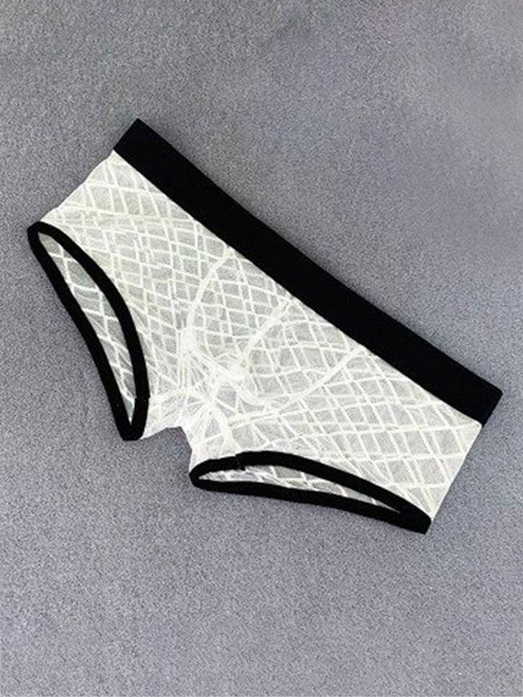 Men's Sexy Mesh See-Through Low-Rise Boxer Briefs