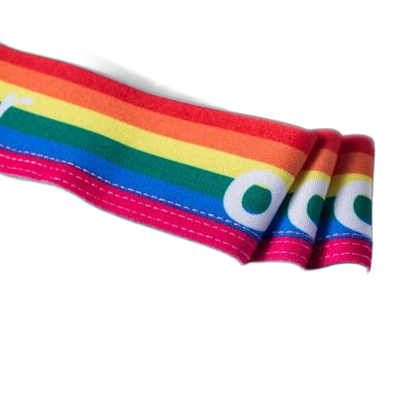 ORLVS Pride Briefs